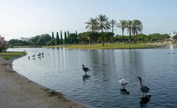 Lakes Park, Rota. Cadiz ili. İspanya. Avrupa.