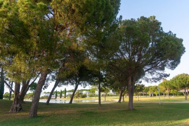 Lakes Park, Rota. Cadiz ili. İspanya. Avrupa.