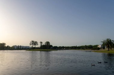 Lakes Park, Rota. Cadiz ili. İspanya. Avrupa.