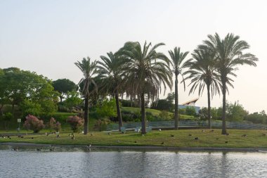 Lakes Park, Rota. Cadiz ili. İspanya. Avrupa.