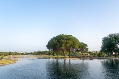 Lakes Park, Rota. Cadiz ili. İspanya. Avrupa.