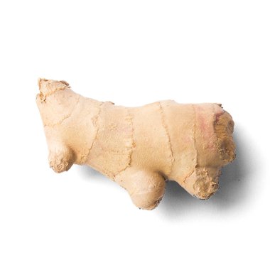 Beyaz arkaplanda taze zencefil kökü veya rizom izole edildi