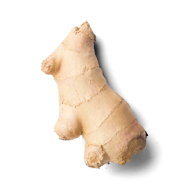 Fresh Ginger Root Rhizome Isolated White Background — Stock Photo, Image