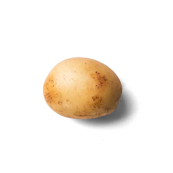 Крупним Планом Суха Картопля Білому Тлі — стокове фото