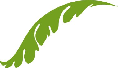 Organik gıda biyolojik etiketleri ayarlandı