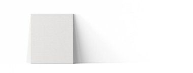 Boş beyaz tuvalin çeşitli modelleri sade zemin üzerinde izole edilmiş. Model projeniz için uygun..