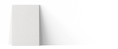 Boş beyaz tuvalin çeşitli modelleri sade zemin üzerinde izole edilmiş. Model projeniz için uygun..