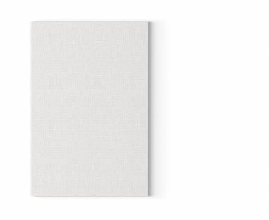 Model projeniz için uygun, düz duvara izole edilmiş çeşitli boş beyaz resim tuvali modeli.