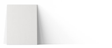 Boş beyaz tuvalin çeşitli modelleri sade zemin üzerinde izole edilmiş. Model projeniz için uygun..