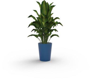 Düz arkaplanda izole edilmiş dekor için çeşitli bitkileri kapat.