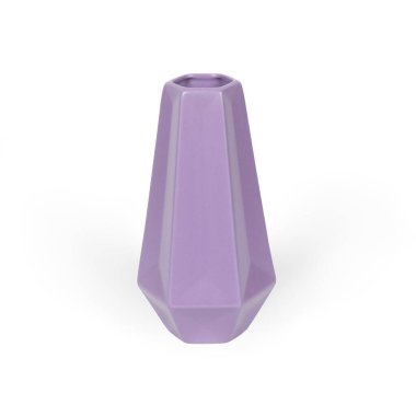 Ev dekorasyonu kavramı, sade arka planda izole edilmiş vazodaki çiçek..