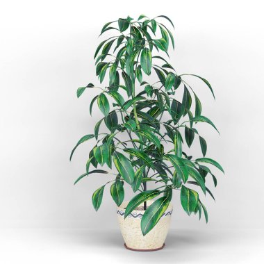 Sade arkaplanda bitki masa elementi olan yaratıcı konsept odası iç mimarisi.