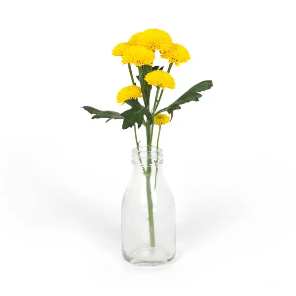 Home decoration concept flower on bottle vase isolated on plain background.