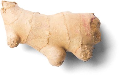 Mutfak konsepti için taze sebzeler.