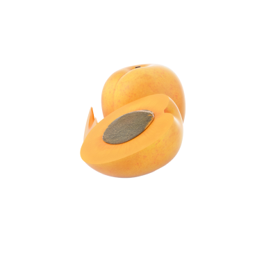 Dilimlenmiş bir meyve canlı portakal eti ve tohumu sergiliyor.