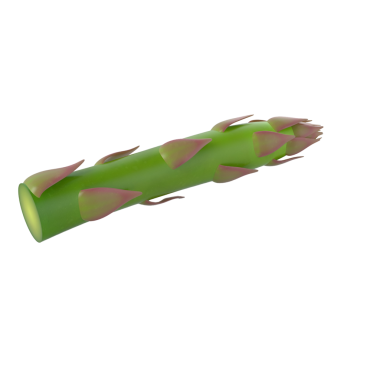 Genç bir kuşkonmazı ya da benzer bir sebzeyi andıran, küçük, pembemsi tomurcukları olan yeşil, uzatılmış bir bitki sapı..