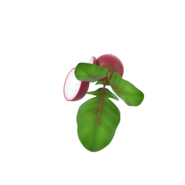 Yeşil yapraklı bir turpun canlı renklerini ve doğal formunu gösteren stilize bir çizimi..