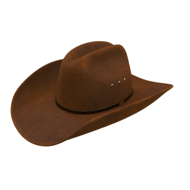 Geniş kenarlı ve dekoratif detaylara sahip kahverengi bir kovboy şapkası. Genellikle stil ve güneş koruması için takılır..