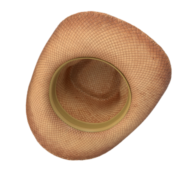 Bu resim, yukarıdan görülen ve dokunmuş dokusu ve geniş kenarını gösteren bir hasır şapka tasvir ediyor..
