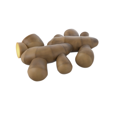 Kök sebzelere benzeyen, düzensiz şekilli kahverengi nesneler kümesi..