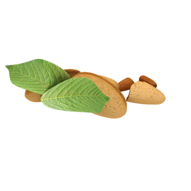 Yapraklı, doğal tasarım ve organik formları vurgulayan bir meyvenin stilize bir temsili..