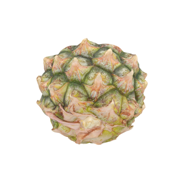 Ananasa benzeyen desenli, dikenli bir meyvenin yakın görüntüsü eşsiz yüzeyi ve renklerini gözler önüne seriyor..