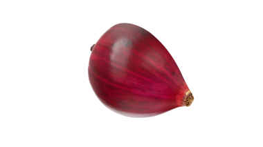 Pürüzsüz, parlak bir teni olan tek bir kırmızı soğan. Canlı rengini ve doğal şeklini sergiliyor..