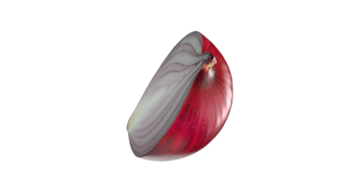 Kırmızı soğanın bir kesiti, katmanlı yapısını ve canlı renklerini gösteriyor..