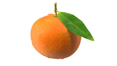 Yeşil yapraklı canlı bir portakal meyvesi taze ve sulu görünümünü sergiliyor..