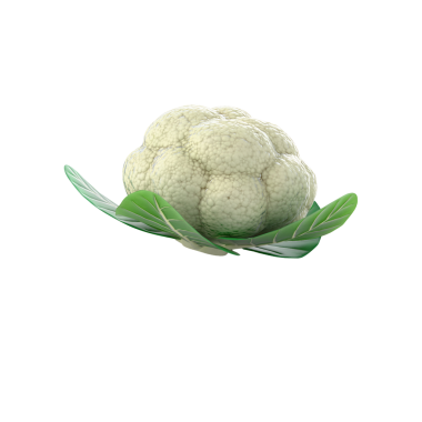 Yeşil yaprakların üzerinde duran karnabaharın doğal görünüşünü ve tazeliğini vurgulayan stilize bir çizimi..