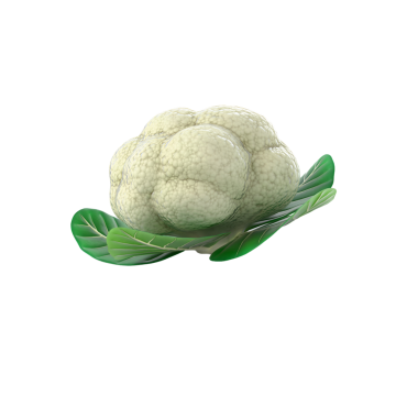 Yeşil yaprakların üzerinde dinlenen taze bir karnabahar desenli yüzeyi ve doğal rengini sergiliyor..