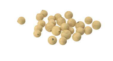 Yüzeye saçılmış, küçük, yuvarlak, bej renkli toplardan oluşan bir derleme, muhtemelen tohumları veya topakları temsil ediyor..