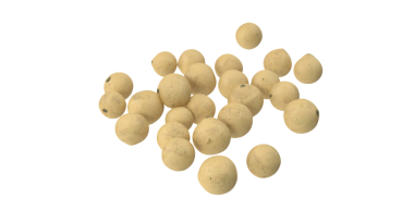 Küçük, yuvarlak, bej kürelerden oluşan bir koleksiyon, muhtemelen bir tohum ya da doğal maddeyi temsil ediyor..