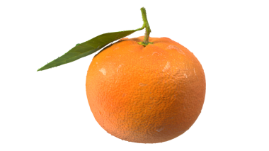 Canlı rengini ve doğal dokusunu gösteren yeşil yapraklı taze bir portakal..