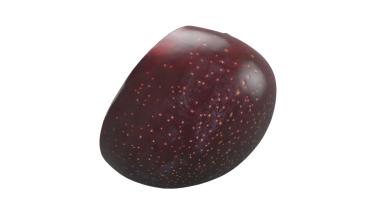 Pürüzsüz bir yüzeyi ve küçük lekeleri olan parlak, koyu kırmızı bir tohum, muhtemelen tropik bir meyve veya bitki tohumunu temsil ediyor..