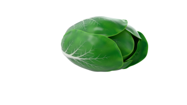 Dekoratif veya resimsel amaçlar için tasarlanmış lahanaya benzeyen stilize edilmiş yeşil bir nesne..