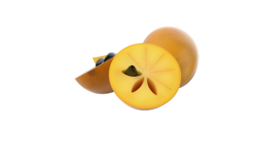 Dilimlenmiş sapodilla meyvesinin stilize edilmiş bir çizimi, tohumlu kahverengi dış ve sarı etini sergiliyor..