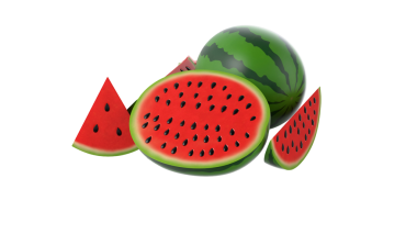 Canlı bir karpuz çizimi. Kırmızı et ve siyah tohumlarla dilimlenmiş bütün parçaları sergiliyor..