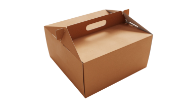 Sade kahverengi bir karton kutu ve sapı var. Genellikle paket ya da paket servisi için kullanılır..