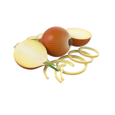 Bir soğanın gerçekçi tasviri, tabaklarını ve dilimlerini sergiliyor, mutfak kullanımını resmediyor..