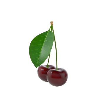 Yeşil yapraklı bir çift parlak kırmızı kiraz, tazeliği ve doğayı simgeliyor..