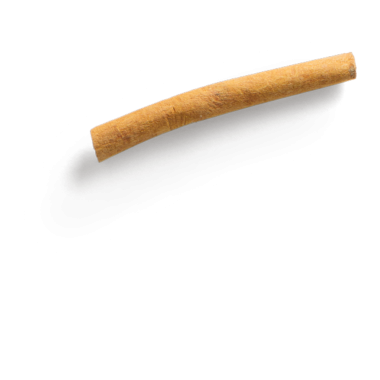 Tek bir parça tarçın çubuğu, doğal dokusunu ve rengini sergiliyor..