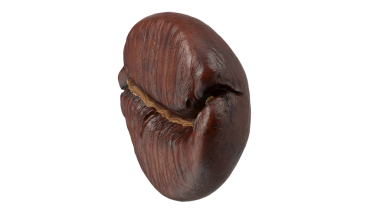 Zengin dokusunu ve rengini gösteren bir kahve çekirdeğinin yakın çekimi..