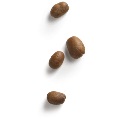 Yüzeye saçılmış patateslere benzeyen küçük, yuvarlak, kahverengi nesnelerden oluşan bir koleksiyon..