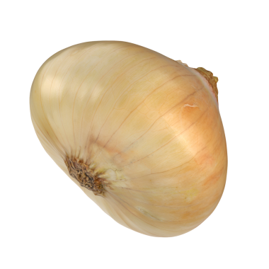 Katmanlı yapısı ve çeşitli yemeklerde kullanımıyla bilinen yaygın bir sebze olan soğan..