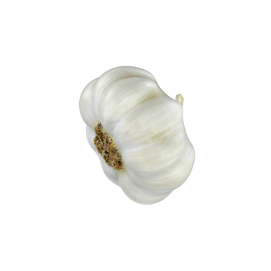 Bir sarımsak ampulünün yakından çekimi, dokusunu ve doğal rengini gösterir, genellikle lezzet arttırıcı pişirmede kullanılır..