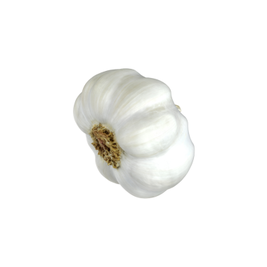 Beyaz dış görünüşlü tek bir sarımsak soğanı, genellikle lezzet arttırıcı ve sağlığa yarar sağlamak için kullanılır..
