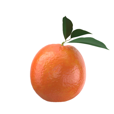 Yeşil yapraklı bir portakalın gerçekçi bir çizimi, canlı rengini ve dokusunu sergiliyor..