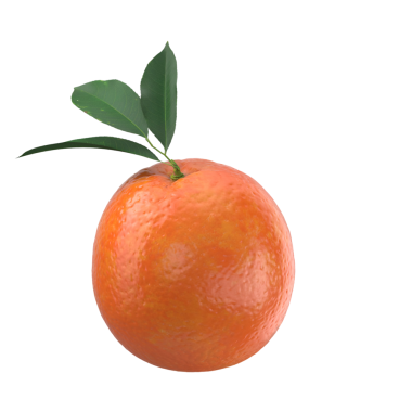 Yeşil yapraklı canlı bir portakal, tazeliği ve sağlığı simgeliyor..