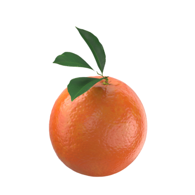 Yeşil yapraklı canlı bir portakal meyvesi taze ve çekici görünümünü sergiliyor..